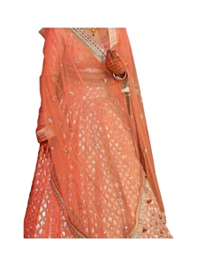 Anita Dongre Lehenga